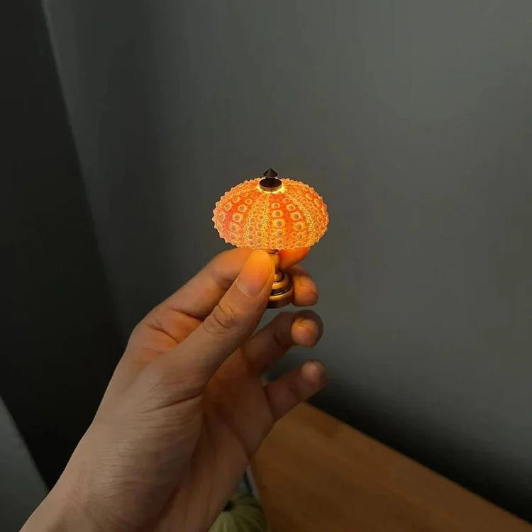 Veilleuse Oursin Diy-Lampe Veilleuse