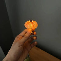 Thumbnail for Veilleuse Oursin Diy-Lampe Veilleuse