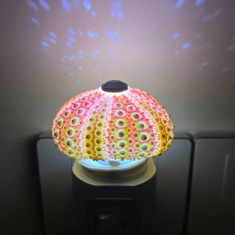 Veilleuse Oursin Diy-Lampe Veilleuse