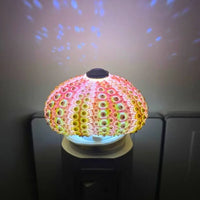 Thumbnail for Veilleuse Oursin Diy-Lampe Veilleuse