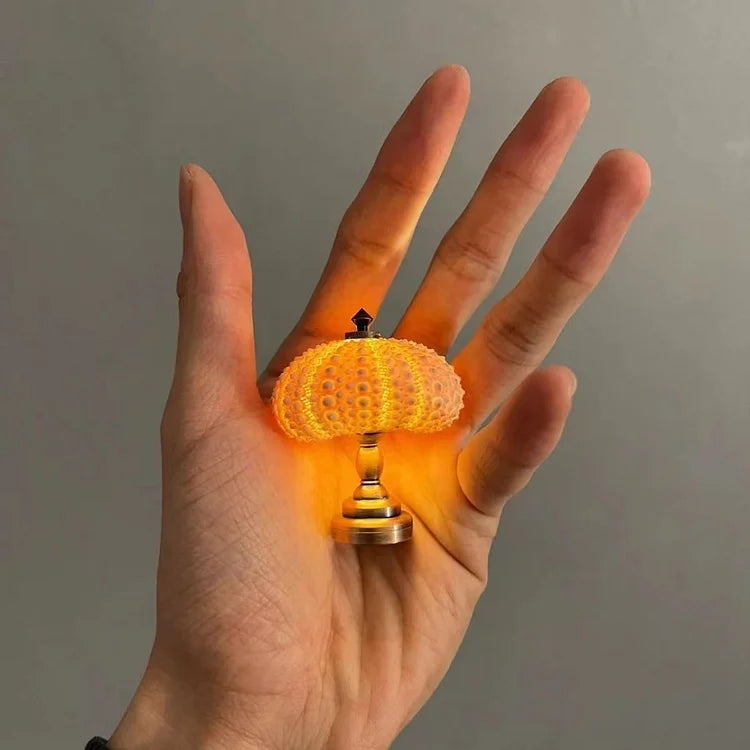 Veilleuse Oursin Diy-Lampe Veilleuse
