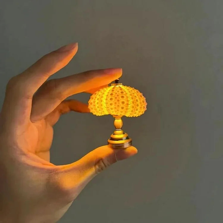 Veilleuse Oursin Diy-Lampe Veilleuse