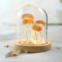 Thumbnail for Veilleuse Oursin Diy-Lampe Veilleuse