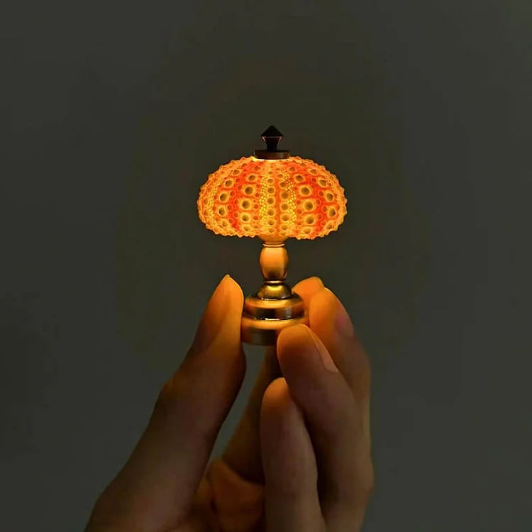 Veilleuse Oursin Diy-Lampe Veilleuse