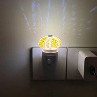 Thumbnail for Veilleuse Oursin Diy-Lampe Veilleuse