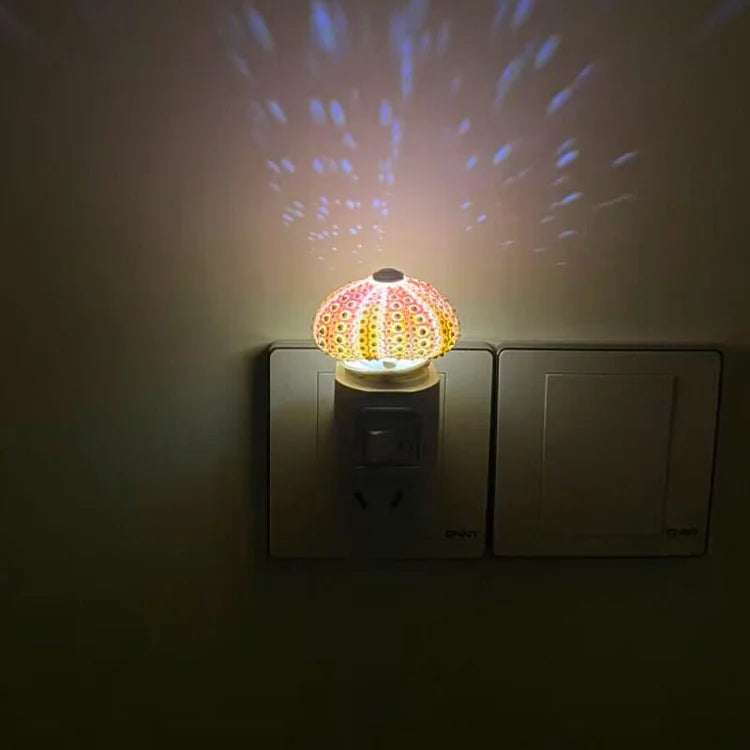 Veilleuse Oursin Diy-Lampe Veilleuse