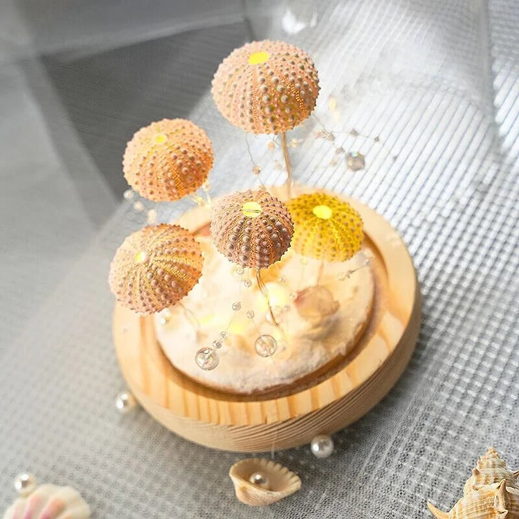 Veilleuse Oursin Diy-Lampe Veilleuse