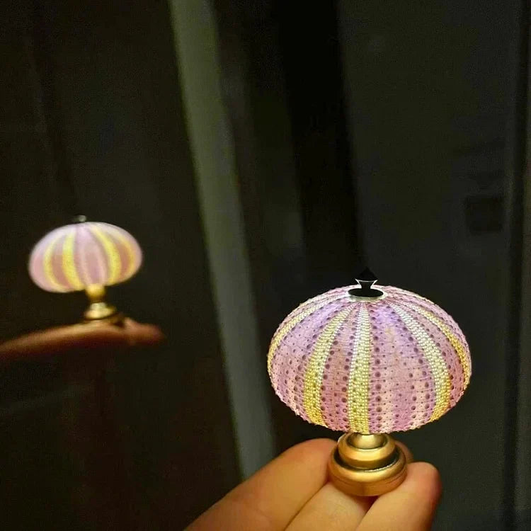 Veilleuse Oursin Diy-Lampe Veilleuse