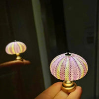 Thumbnail for Veilleuse Oursin Diy-Lampe Veilleuse