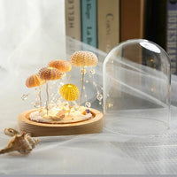 Thumbnail for Veilleuse Oursin Diy-Lampe Veilleuse