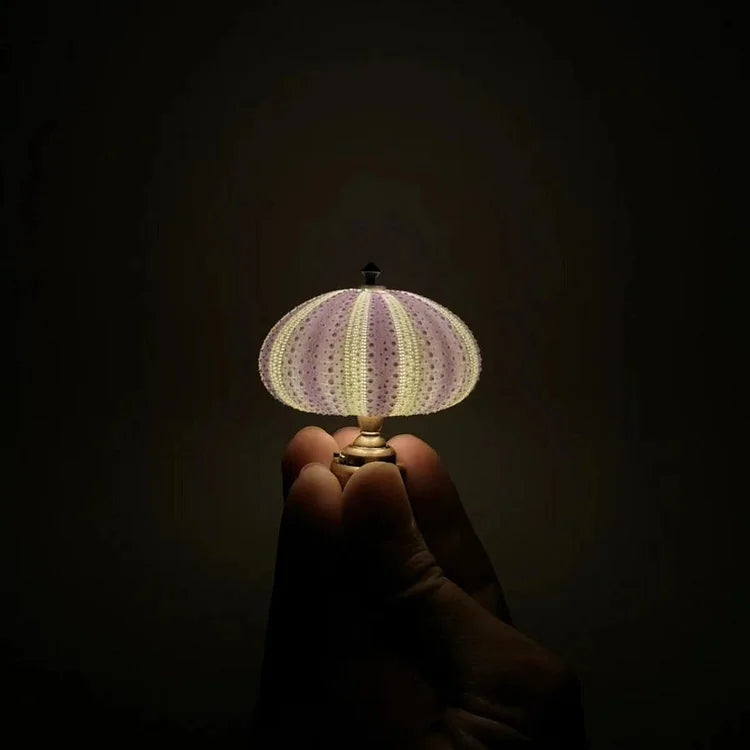 Veilleuse Oursin Diy-Lampe Veilleuse