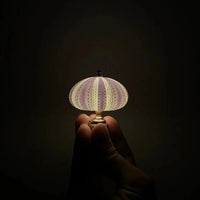 Thumbnail for Veilleuse Oursin Diy-Lampe Veilleuse