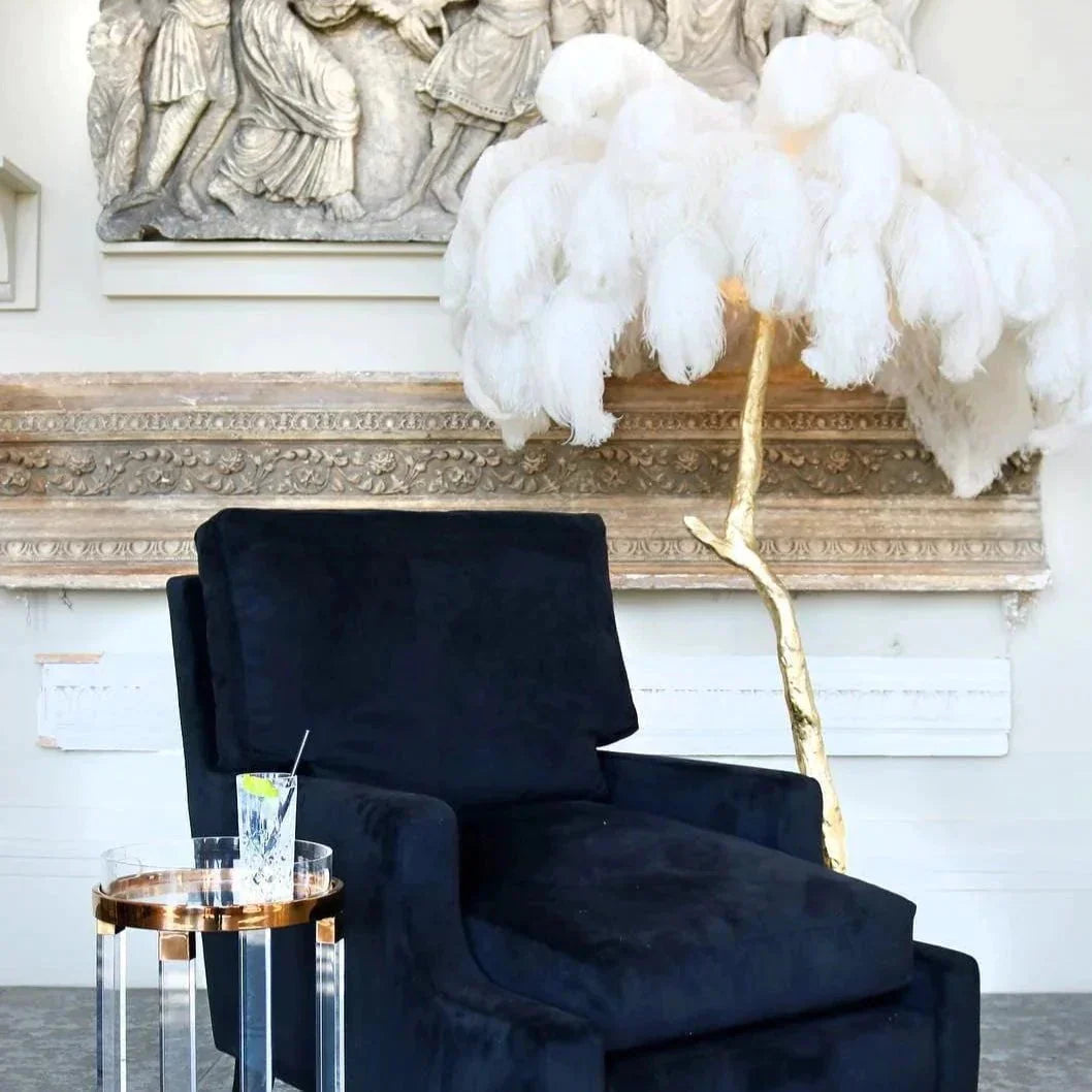 Lampadaire En Plumes D'Autruche-Lampe Veilleuse