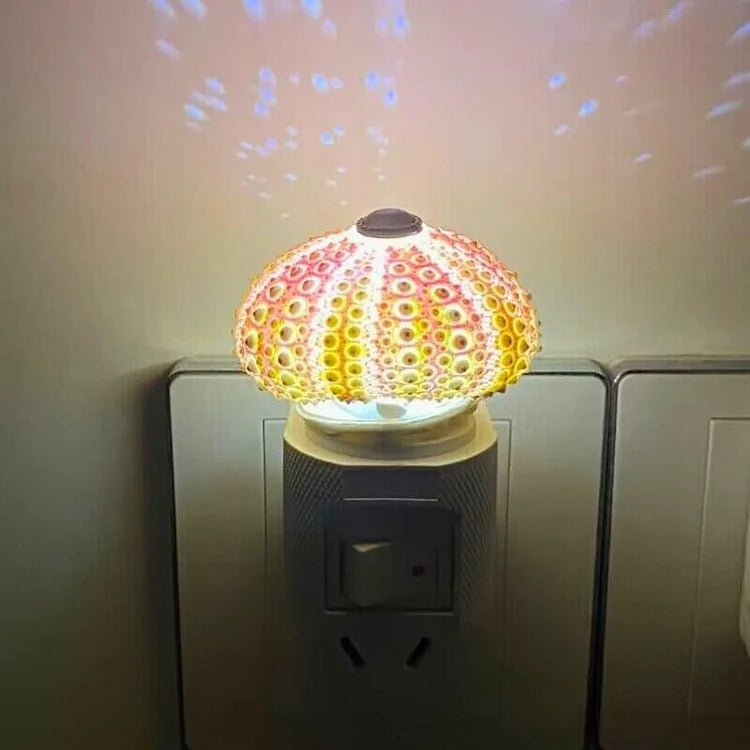 Veilleuse Oursin Diy-Lampe Veilleuse