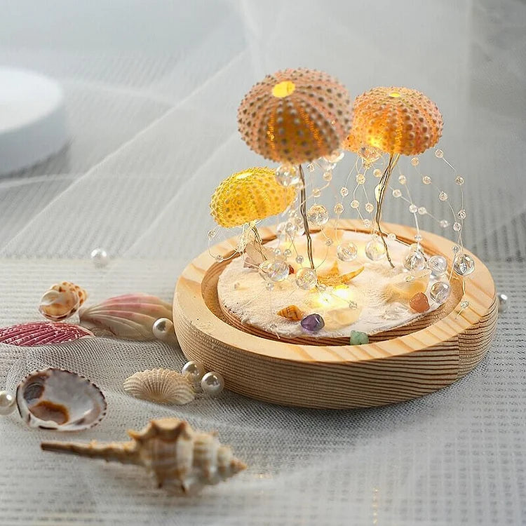 Veilleuse Oursin Diy-Lampe Veilleuse